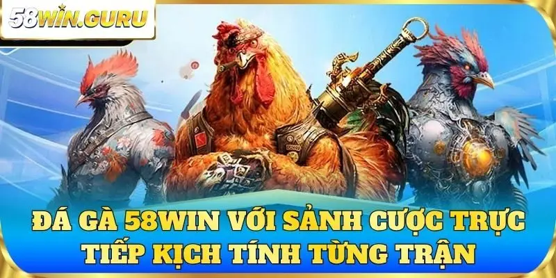 Đá gà 58win với sảnh cược trực tiếp kịch tính từng trận