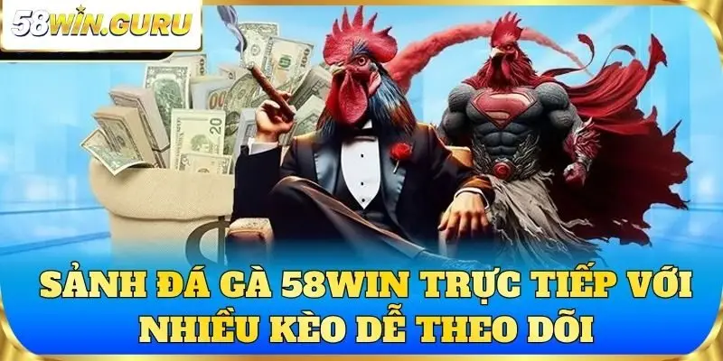 Sảnh đá gà 58win trực tiếp với nhiều kèo dễ theo dõi